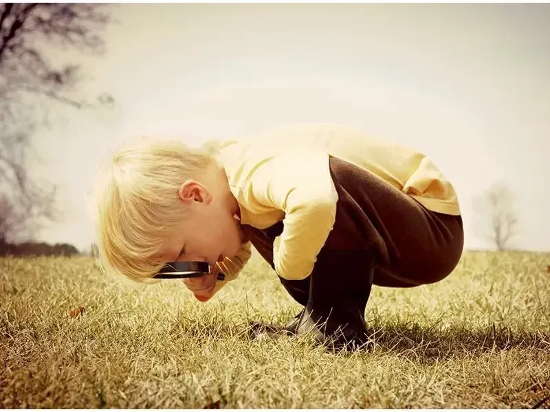  Observaciones independientes 